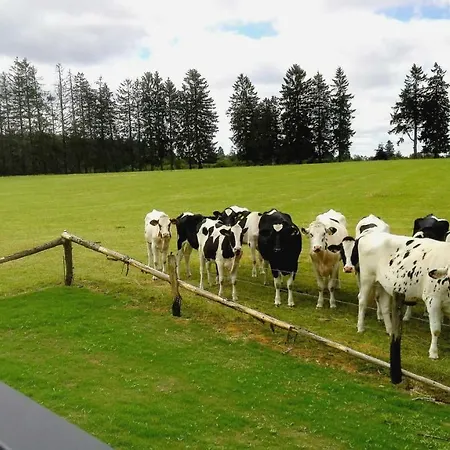 Casa vacanze Oduo Sart-lez-Spa